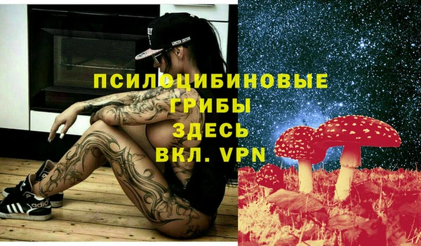 кокс Абдулино